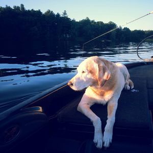 Meet your Posher, Mary ann